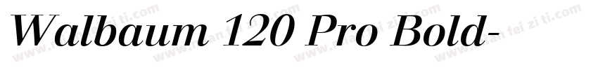 Walbaum 120 Pro Bold字体转换